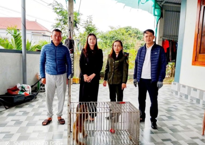 VQG Phong Nha – Kẻ Bàng tiếp nhận động vật hoang dã để cứu hộ