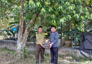 Trung tâm Cứu hộ, bảo tồn và Phát triển sinh vật phối hợp với Hạt kiểm lâm huyện Bố Trạch tiếp nhận động vật nguy cấp, quý, hiếm