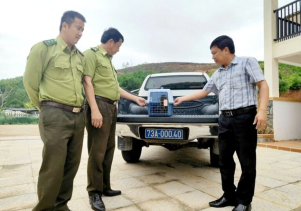 Trung tâm Cứu hộ, bảo tồn và Phát triển sinh vật tiếp nhận chăm sóc 01 cá thể Khỉ mặt đỏ