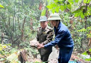 Thả động vật hoang dã về với môi trường tự nhiên tại Vườn quốc gia Phong Nha – Kẻ Bàng