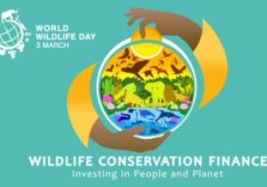 Ngày động vật hoang dã thế giới 3.3