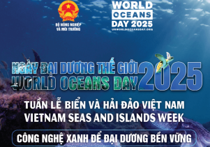 Hưởng ứng Tuần lễ Biển và Hải đảo Việt Nam và Ngày Đại dương thế giới (8/6) năm 2025