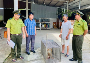 Hoạt động cứu hộ động vật hoang dã 6 tháng đầu năm 2025