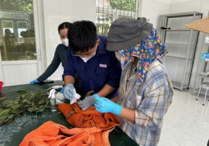 Tiếp nhận động vật hoang dã nguy cấp, quý, hiếm để cứu hộ tại Vườn quốc gia Phong Nha – Kẻ Bàng