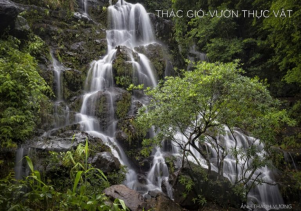 Vườn quốc gia Phong Nha – Kẻ Bàng chú trọng bảo vệ môi trường gắn với phát triển du lịch bền vững