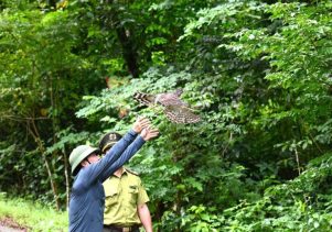 Một ngày tại Khu cứu hộ động vật hoang dã thuộc Cơ sở bảo tồn động vật hoang dã Phong Nha – Kẻ Bàng: Nơi hồi sinh sự sống giữa đại ngàn