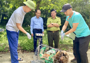 Trung tâm Cứu hộ, Bảo tồn và Phát triển sinh vật tiếp nhận cá thể Khỉ đuôi lợn để cứu hộ