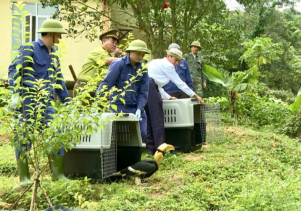 Thả động vật hoang dã về với môi trường tự nhiên Vườn quốc gia Phong Nha – Kẻ Bàng