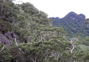 UBND tỉnh Quảng Trị chấp thuận Dự án du lịch sinh thái “Khám phá Bách Xanh Đá và Hang Kling”