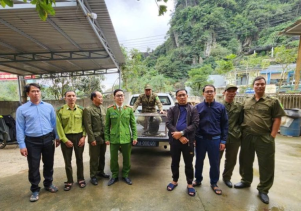VQG Phong Nha – Kẻ Bàng tiếp nhận động vật hoang dã để cứu hộ