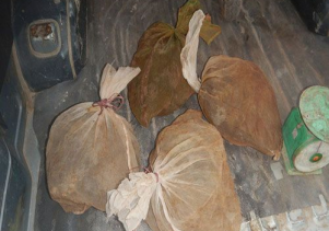 Phát hiện và xử lý đối tượng vận chuyển động vật rừng trái phép