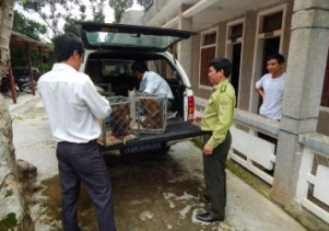 Trung tâm Cứu hộ, bảo tồn và Phát triển sinh vật: Tiếp nhận, cứu hộ động vật rừng quý hiếm