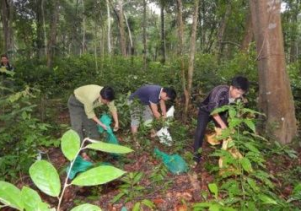 Thả động vật rừng về môi trường tự nhiên