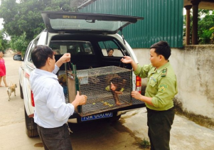 Trung tâm Cứu hộ, bảo tồn và Phát triển sinh vật tiếp nhận động vật hoang dã quý hiếm để cứu hộ