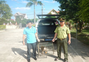 Trung tâm Cứu hộ, bảo tồn và Phát triển sinh vật tiếp nhận động vật hoang dã quý hiếm để cứu hộ