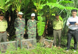 Thả động vật hoang dã về môi trường tự nhiên tại Vườn quốc gia Phong Nha – Kẻ Bàng