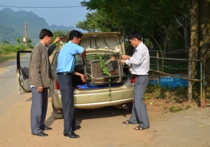 Tiếp nhận cá thể Chà vá chân nâu