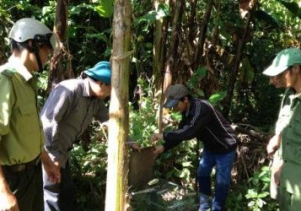 07 cá thể động vật hoang dã quý hiếm được thả về môi trường tự nhiên