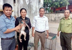 Người dân tự nguyện chuyển giao động vật hoang dã quý hiếm để cứu hộ