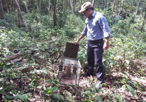 Tiếp nhận mẫu vật để làm tiêu bản và thả động vật hoang dã về môi trường tự nhiên