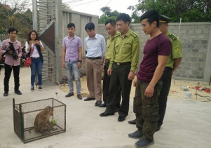 Người dân tự nguyện chuyển giao động vật hoang dã quý hiếm để cứu hộ