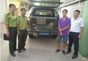 Người dân tự nguyện giao nộp động vật hoang dã quý hiếm để cứu hộ