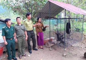 Hạt Kiểm lâm VQG Phong Nha – Kẻ Bàng vận động người dân giao nộp cá thể Khỉ vàng