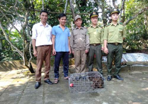 Tiếp nhận động vật hoang dã quý hiếm để cứu hộ