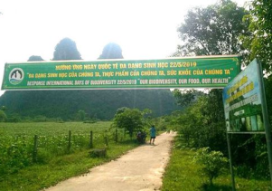 Phong Nha – Kẻ Bàng: Hưởng ứng Ngày quốc tế Đa dạng sinh học năm 2019