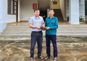 Tiếp nhận động vật hoang dã để cứu hộ, chăm sóc và thả về môi trường tự nhiên