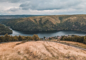 How Drones Can Save Our Forests