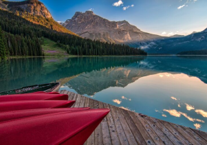 What makes the North York Napar special?