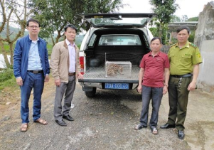 Tiếp nhận động vật hoang dã nguy cấp, quý hiếm từ người dân để chăm sóc, cứu hộ và thả về môi trường tự nhiên