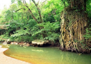 Thung lũng Sinh Tồn – Hang Thủy Cung