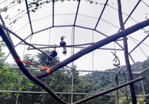 Ban quản lý VQG Phong Nha – Kẻ Bàng tiếp nhận động vật hoang dã từ Trung tâm Cứu hộ động vật hoang dã Hà Nội