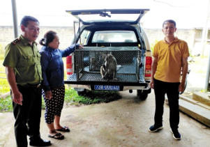 Trung tâm Cứu hộ, bảo tồn và Phát triển sinh vật phối hợp với Hạt kiểm lâm huyện Tuyên Hóa tiếp nhận động vật do người dân tự nguyện giao nộp