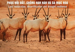 Hưởng ứng ngày Môi trường thế giới 05/6 và Tháng hành động vì môi trường năm 2024