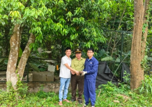 Trung tâm Cứu hộ, bảo tồn và Phát triển sinh vật phối hợp với Hạt kiểm lâm huyện Bố Trạch tiếp nhận động vật nguy cấp, quý, hiếm