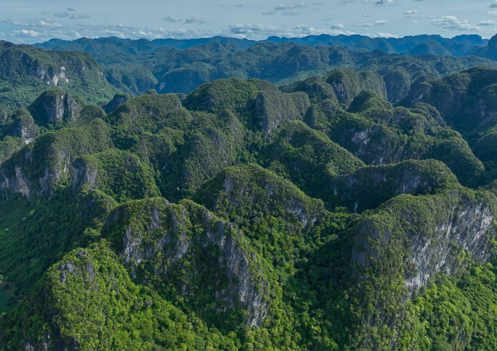 VQG Phong Nha – Kẻ Bàng tăng cường quản lý, bảo vệ rừng năm 2025, định hướng nhiệm vụ năm 2026