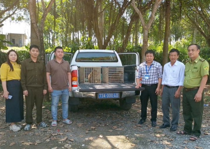 Vườn quốc gia Phong Nha - Kẻ Bàng tiếp nhận động vật hoang dã nguy cấp, quý, hiếm để cứu hộ