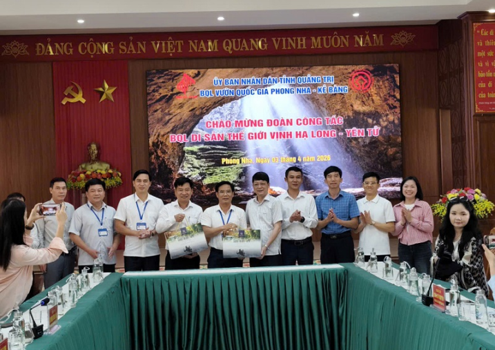 BQL VQG Phong Nha - Kẻ Bàng đón tiếp và làm việc với BQL Di sản Thế giới Vịnh Hạ Long - Yên Tử