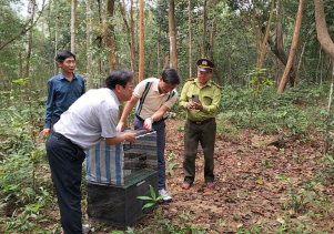 Vườn quốc gia Phong Nha - Kẻ Bàng phối hợp với Trung tâm Cứu hộ động vật hoang dã Hà Nội tái thả động vật hoang dã về môi trường tự nhiên