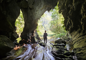 Hội nghị công bố kết quả khảo sát các hang động, tài nguyên du lịch mới tại khu vực Vườn quốc gia Phong Nha - Kẻ Bàng