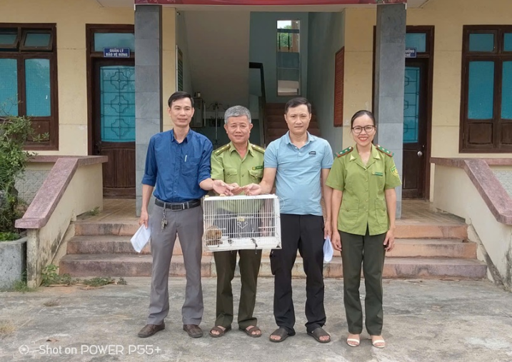 Tiếp nhận cá thể Culi nhỏ do người dân tự ngyện giao nộp