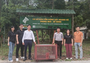 Tiếp nhận cá thể Khỉ đuôi lợn từ Trung tâm Cứu hộ Gấu Việt Nam