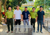 Tăng cường cứu hộ và tái thả động vật hoang dã tại Vườn quốc gia Phong Nha - Kẻ Bàng