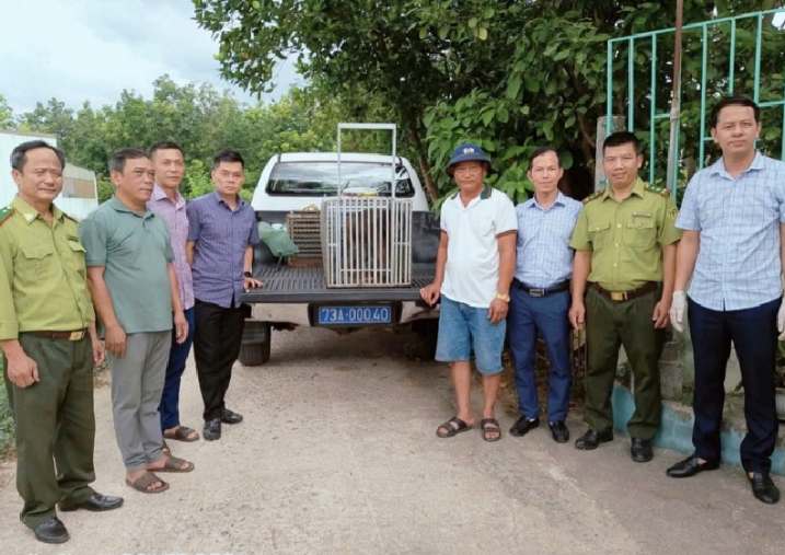 Tiếp nhận động vật hoang dã nguy cấp, quý, hiếm do các địa phương trong tỉnh bàn giao để cứu hộ