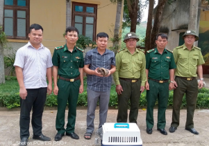 Tiếp nhận động vật hoang dã nguy cấp, quý, hiếm được ưu tiên bảo vệ  để cứu hộ