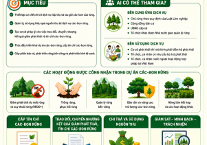 Nghị định số 180/2026/NĐ-CP: Hoàn thiện hành lang pháp lý về dịch vụ hấp thụ và lưu giữ các-bon của rừng