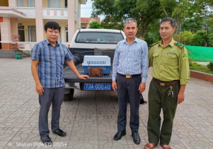 Tiếp nhận Cu li nhỏ do UBND xã Tuyên Bình bàn giao để cứu hộ